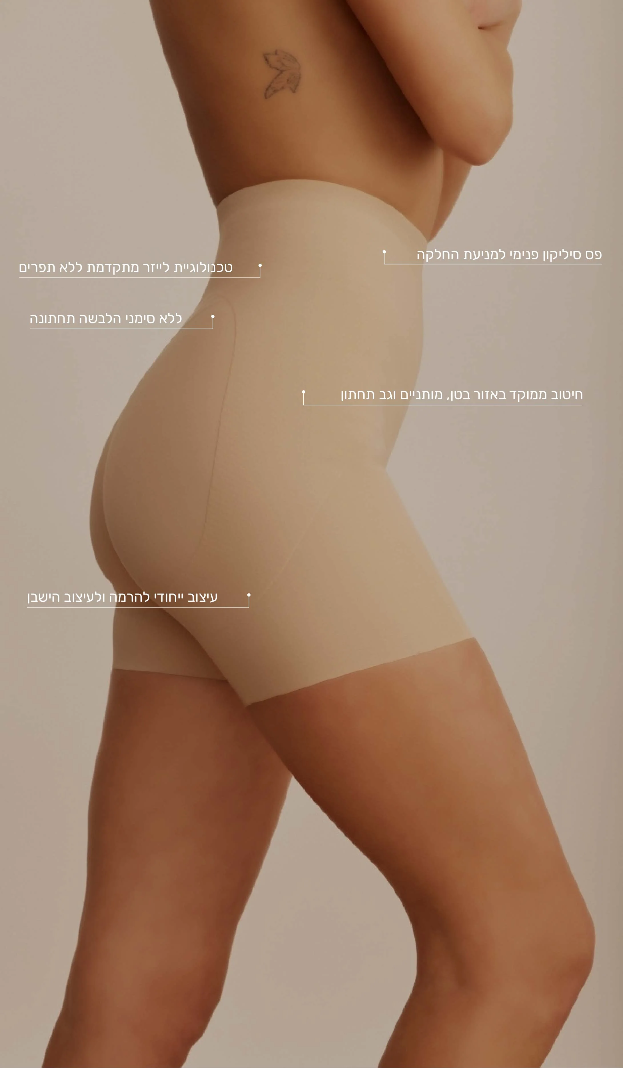 תמונה ממוזערת 2